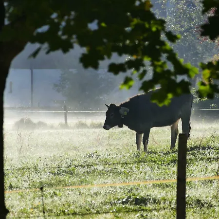Mathias Kennerknecht 아파트 피셴